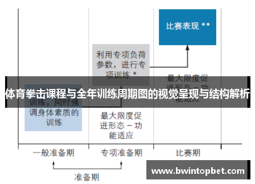 体育拳击课程与全年训练周期图的视觉呈现与结构解析